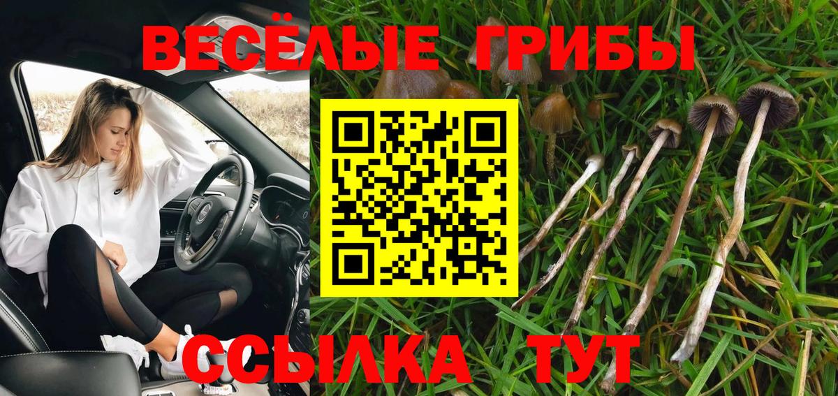 Псилоцибиновые грибы мицелий  Вход с VPN  Майский 